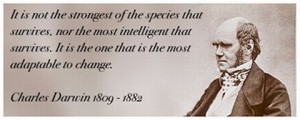 pic www.brandingstrategyinsider.com