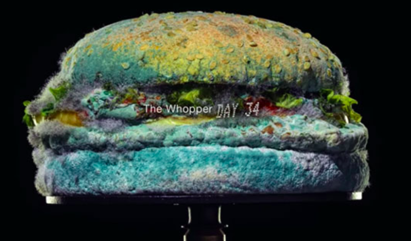 Day 34 of the Burger King moldy burger