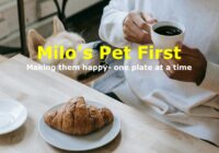 Pet looking at food