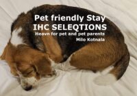 HEAVEN FOR PET- PET-FRIENDLY STAY
