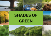 SHADES OF GREEN