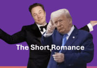 TRMP MUSK ROMANCE