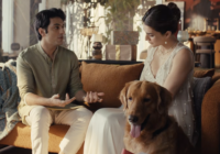 RAKHI, DOG